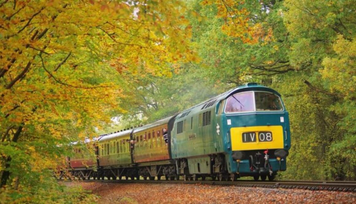 d1015-credit-Andrew-Holl-800x450