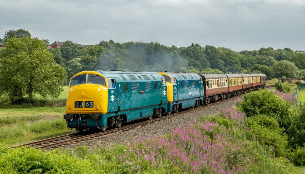D821 Greyhound with resident 832 Onslaught on the 2pm from Bury at Burrs Bank, East Lancs Railway, on 1 July 2023. Kevin Whitehurst