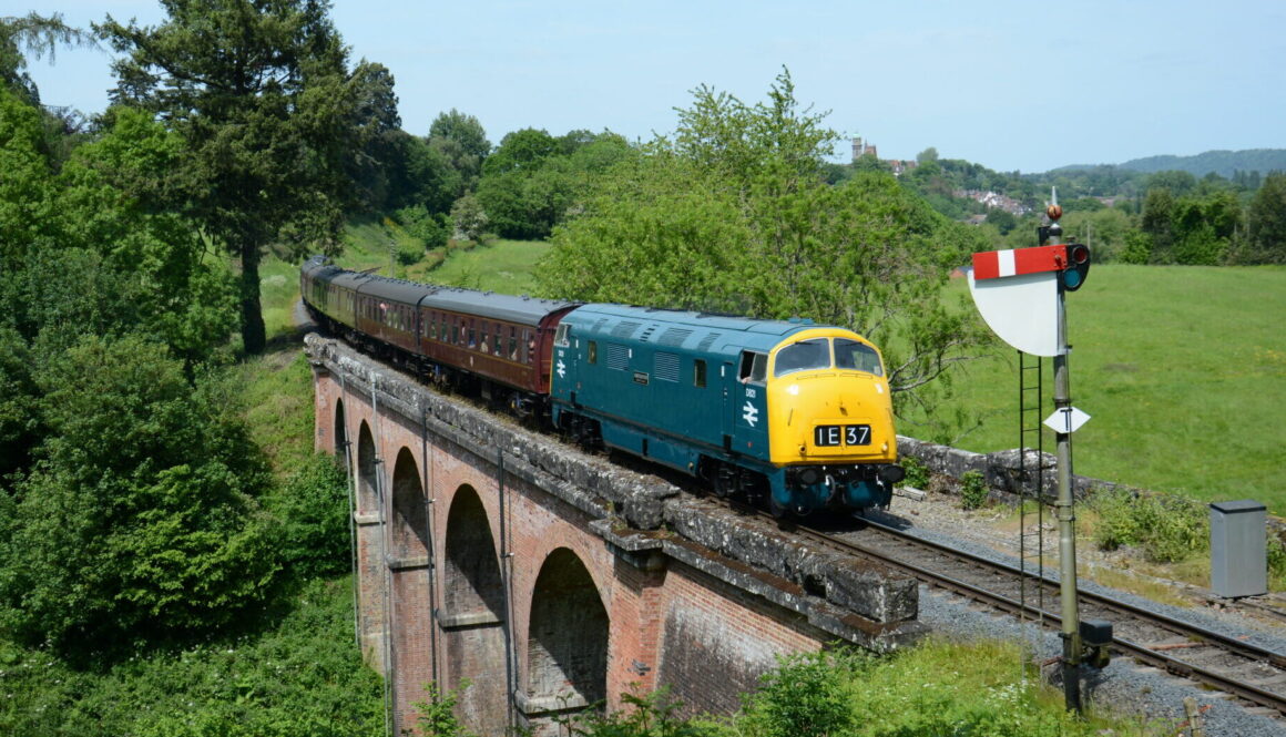 D821 heads over Oldbury Viaduct, credit Brad Joyce