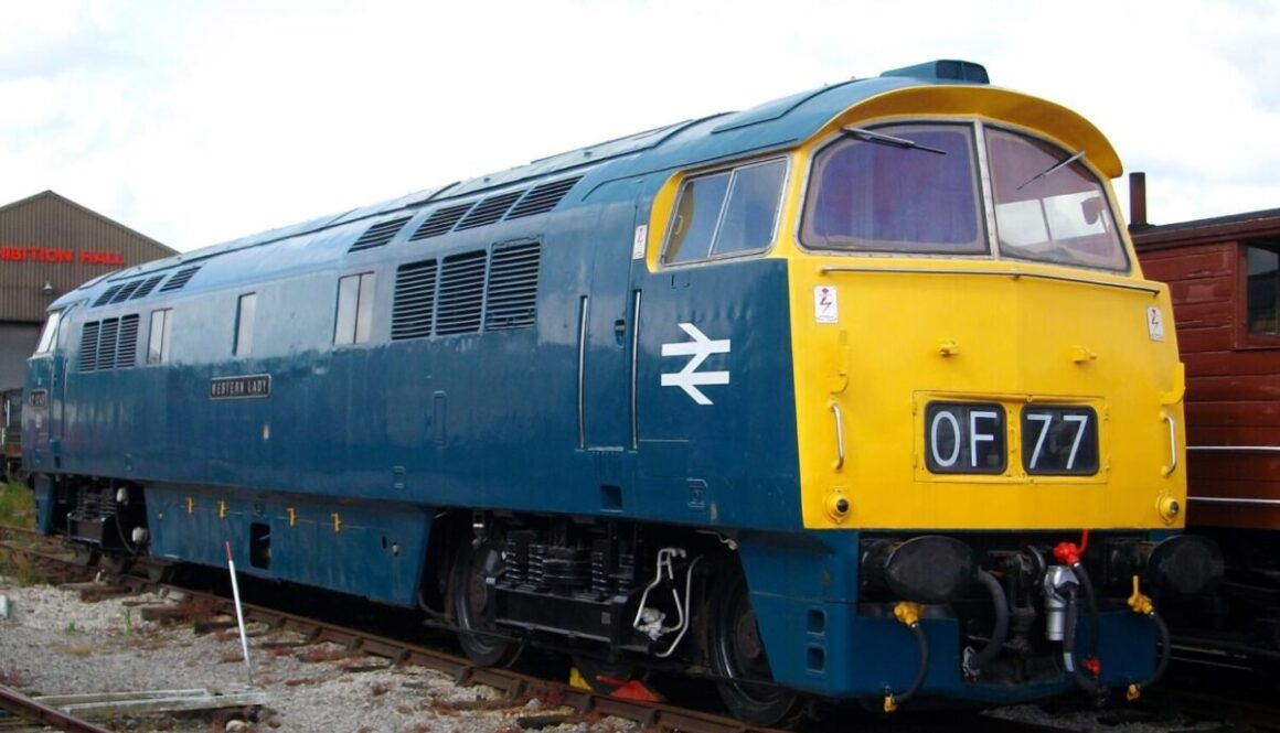 D1048 Paul Finch