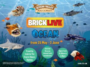 Brick Live Ocean - at The Engine House Highley