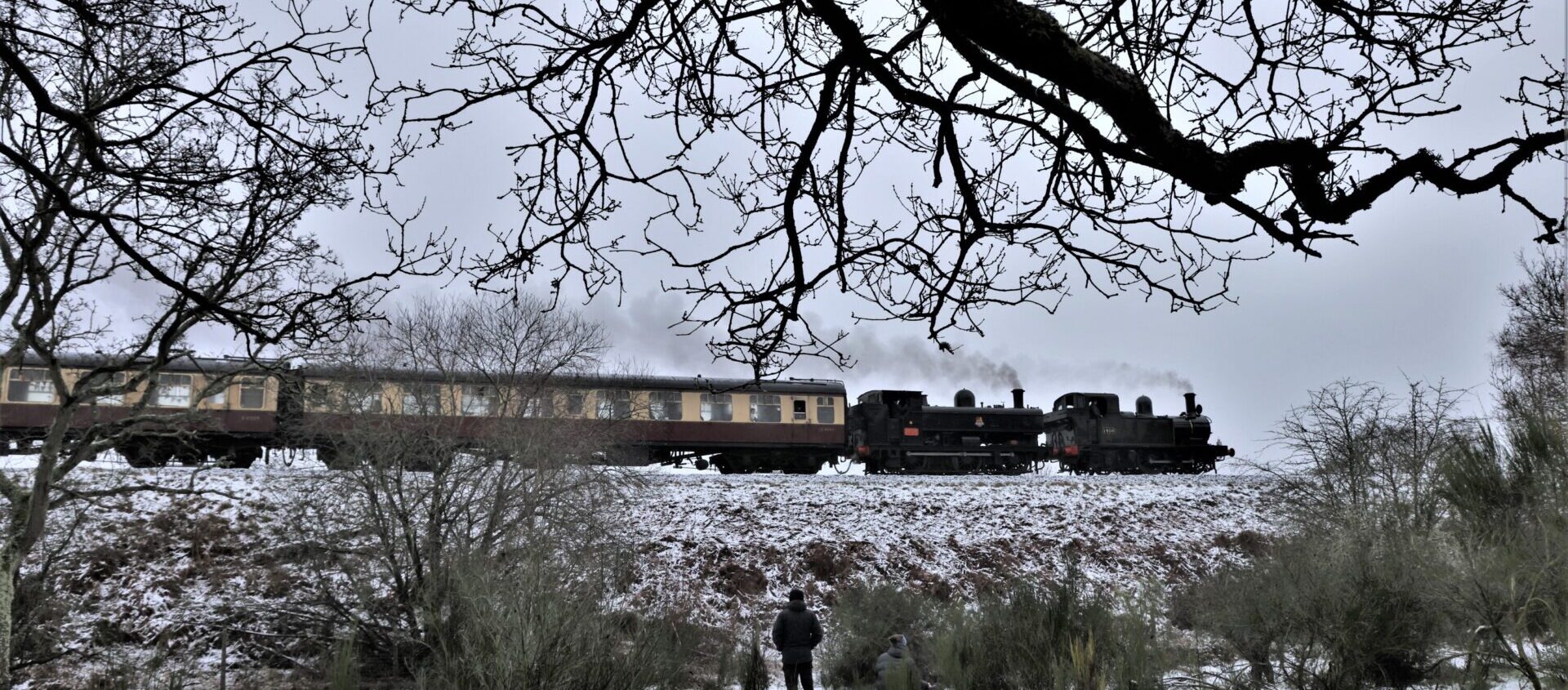 Winter Steam Gala
