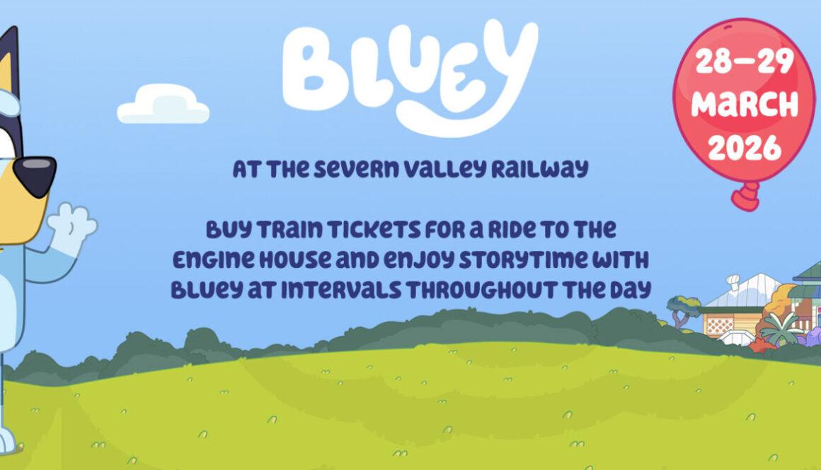 Bluey character visit