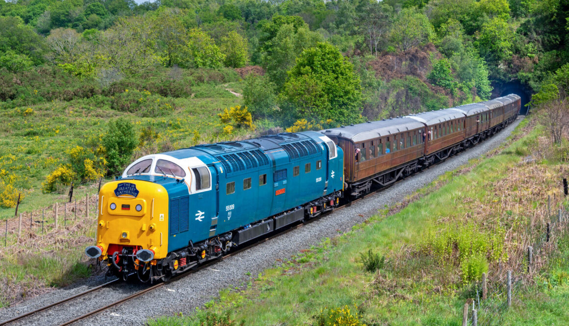 Deltic 55009 will guest star at the SVR's Winter Diesel Day on 29 December. Tom McAtee.